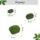 Moss Artificial "Stones", set 12 pcs., Greengo