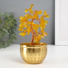 Bonsai souvenir 