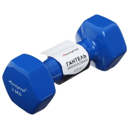 Vinyl dumbbells onlytop, 2.5 kg, blue color-3