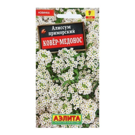 Alissum flowers "carpet-Medonos", 0.1 g