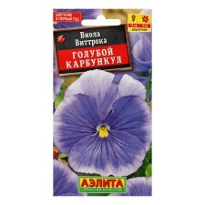 Viola flower seeds 