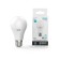 LED LED ELEMENTARY 20W A60 GREVED 4100K neuter. Bel. E27 1600lm Gauss 23229