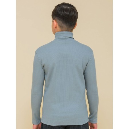 Turtleneck for the boy Pelican, height 98 cm, color gray-1