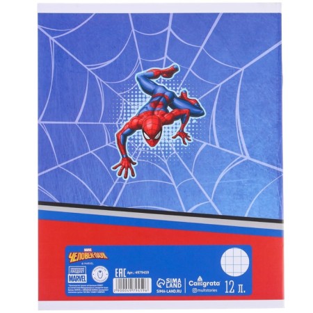 Gift set for a boy, 9 items, Spider-Man-14