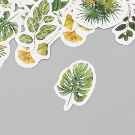 Stickers for creativity "Green leaves" set 46 pcs 6.4x4.4x1.1 cm-1