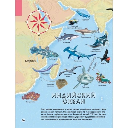 Illustrated Atlas "Seas and Oceans"-9