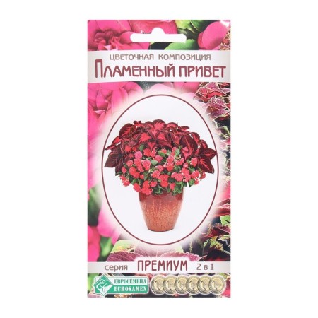 Flower seeds Floral Hello, 4 pcs