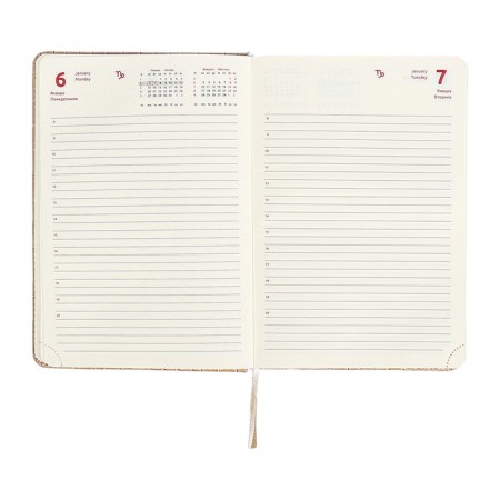 Dated diary 2025 A5 168 sheets, Devente.Barbara, a solid cover to leatherette with foam, praise, perforation, lies, block 70, beige, beige-14