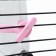 Drill for rodents with a metal nose, 60 ml, transparent with pink fastening