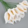 Decorative flower for the creativity "Calla" White