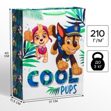 Gift package, 31x40x11 cm, packaging, puppy patrol