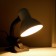 Table lamp E27, with off. On the clamp (220V) white 26x13x11 Risalux