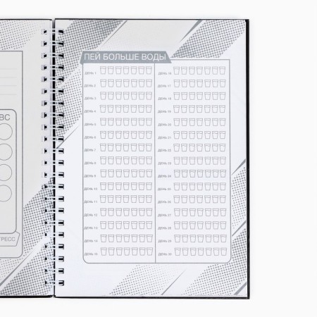Training diary “You will succeed”, 63 sheets, 14 x 20.3 cm-6