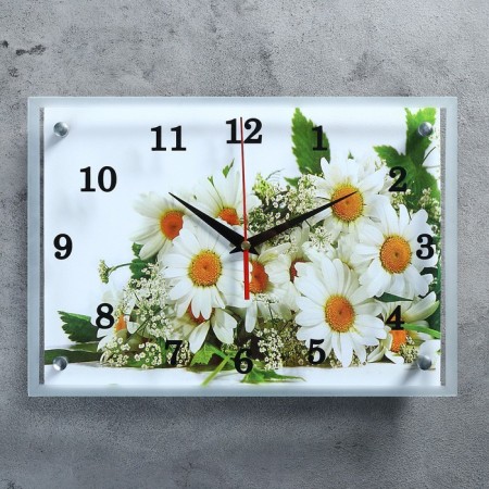 Carty clock is wall, interior "chamomiles", silent, 25 x 35 cm