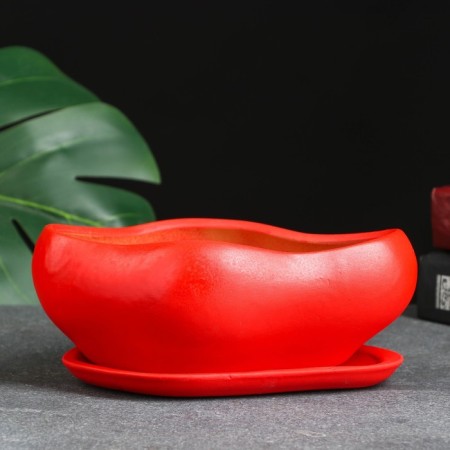 Bonsai Pot Bonesi, 0.6 l/14x18 cm-1
