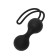 Desire Blooms (Womanizer Liberty, Kegel Balls, Delicious Thingles, 7 G.)