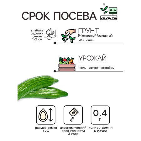 Cucumber seeds "Chinese snakes", 0.4 g-1
