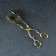 Forceps for serving "Rahat Gold", h = 22 cm, gold color