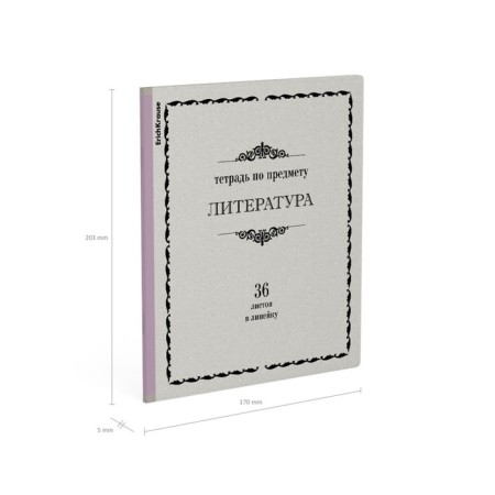 Subject notebook, 36 sheets, ruler, literature, Erichkrause, "Akademkniga", coated cardboard, Blok Offset 100%, information block-4