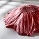 Serving dish "poppies", d = 30 cm, red color