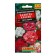Seeds of indoor flowers Pelargonium "Palette of Paints", 4 pcs.