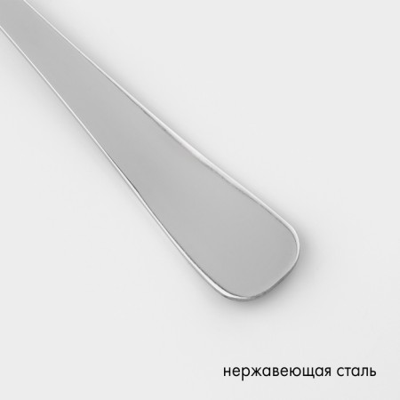 Tablespoon "Rosinka", h = 19.5 cm, thickness 1.8 mm, silver color-2