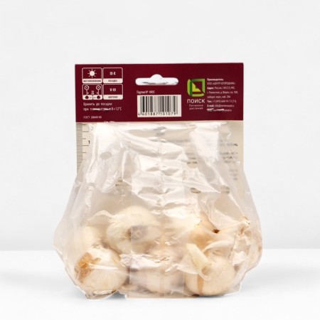 Christophe onion, 10/12 rr, 10 pcs, 50 h (cm), autumn 2024-2