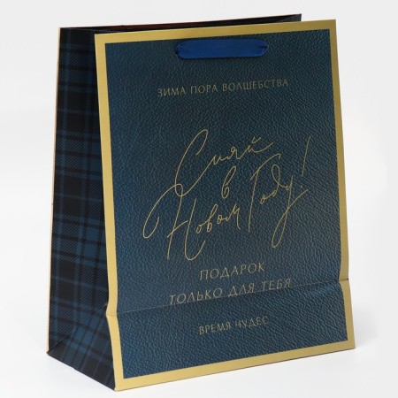 Laminated vertical packet “Shine in the New Year”, 25.4 x 30.5 x12.7 cm, New Year-3