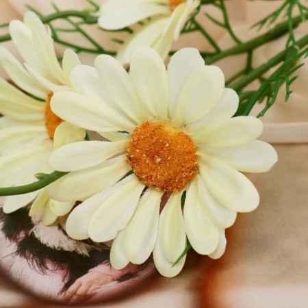 Artificial flowers "Arctothis" D-3.5 cm 35 cm, yellow-1