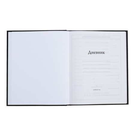 Universal Diary 5-11 classes, 48 ​​sheets "Leo", SoftTouch, solid cover, block 65 g/m2-3