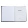 Universal Diary 5-11 classes, 48 ​​sheets "Leo", SoftTouch, solid cover, block 65 g/m2