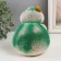 Growing gift Eco -Zhizhivchik "Turtle" mix