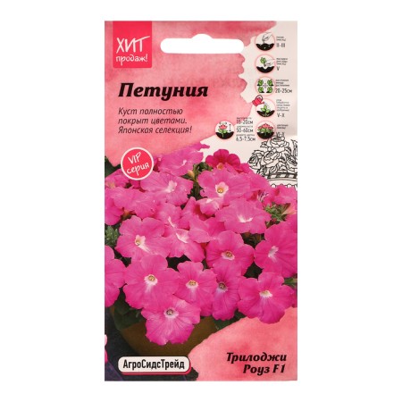 Flowers of Petunia "Triloji Rose", 5, pcs