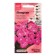 Flowers of Petunia "Triloji Rose", 5, pcs