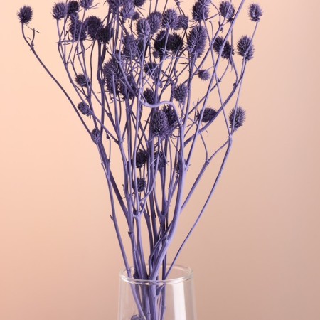 A set of dried flowers "Eringium", a ban 5 pcs, length 50 (+/- 6 cm), purple-1