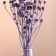 A set of dried flowers "Eringium", a ban 5 pcs, length 50 (+/- 6 cm), purple
