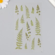 Stickers for creativity plastic 