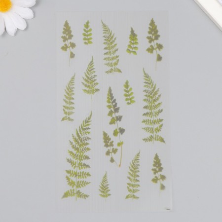 Stickers for creativity plastic "Fern" 21x10.5 cm