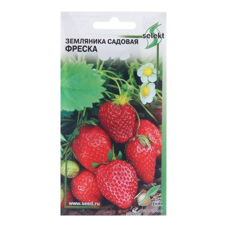 Semen strawberries Garden "Fresco", 30 pcs