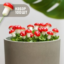 Set of plugs 