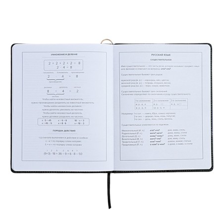 Universal Diary Grade 1-11, 48 sheets "Princess-ballerina", solid cover of artificial leather, lies, universal cheat sheet, block 80 g/m2-14