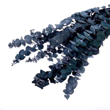 Sukhotzet "eucalyptus tree", blue, 10 pcs. packaged-2
