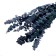 Sukhotzet "eucalyptus tree", blue, 10 pcs. packaged