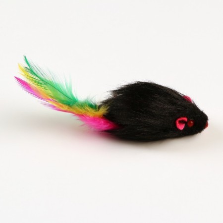 The mouse is a plain plane with feathers 6.5 cm, black-1
