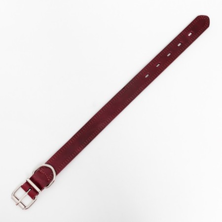 Collar leather two-layer 3 cm, Osh 35-47 cm, ruby-2