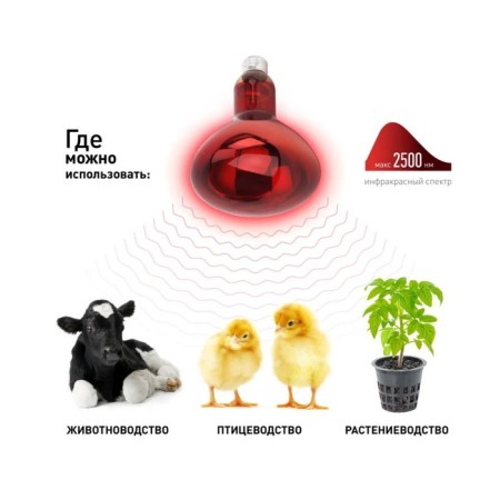 The lamp is infrared, for heating animals, 250 watts, E27, red sausage, era-1