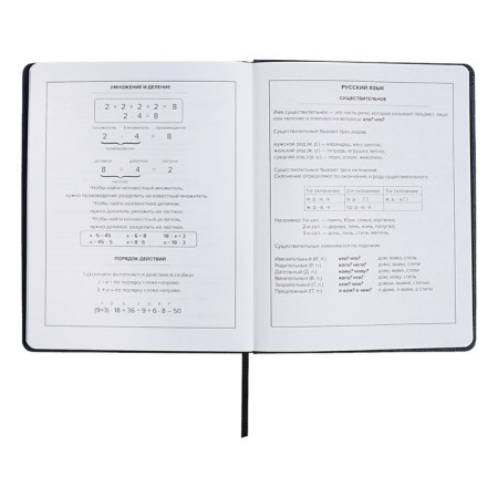 School diary for grades 1-11 “Owl Girl”, hard cover, artificial leather, “soft-tach”, lies, 48 ​​sheets, universal cheat sheet, block 80g/m2-10