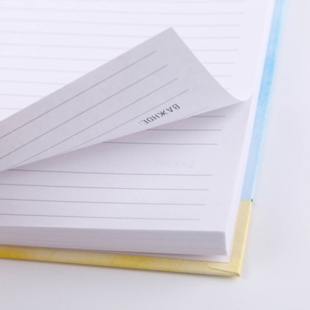Diary "Diary of a workaholic", A5, 80 sheets-3