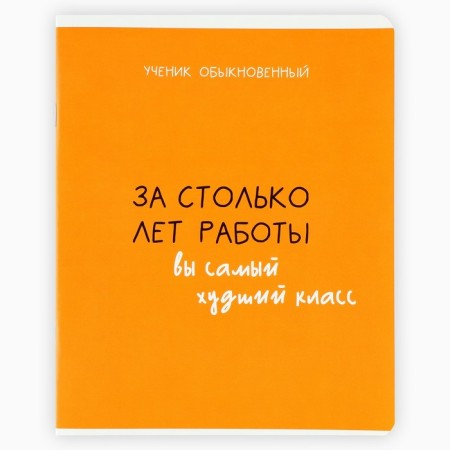 A notebook in a cage, 48 sheets A5 on a paper clip 5 pcs., Inner block No. 2 MIX “September 1: typical student” Twin Lac, UV lacquer-3