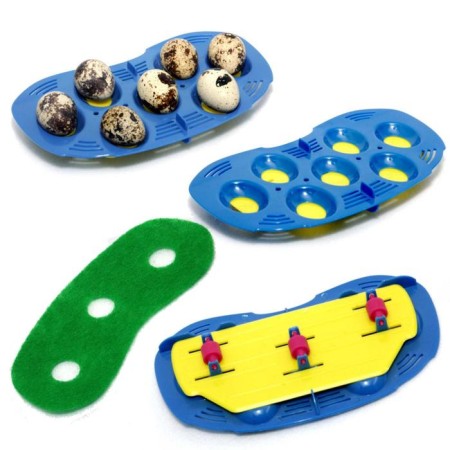 Incubator, 3 eggs, automatic coup, 220 V, rcom mini-3